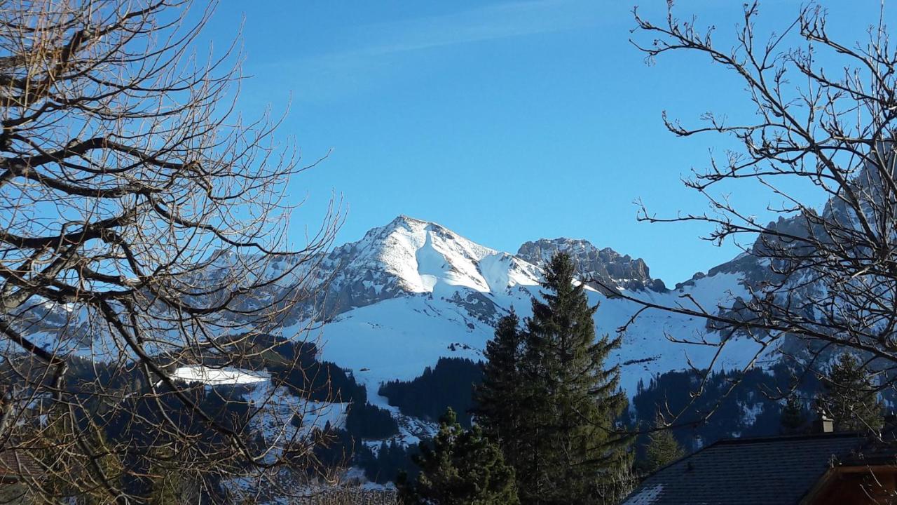 Chalet Allmegrat Adelboden Exteriér fotografie