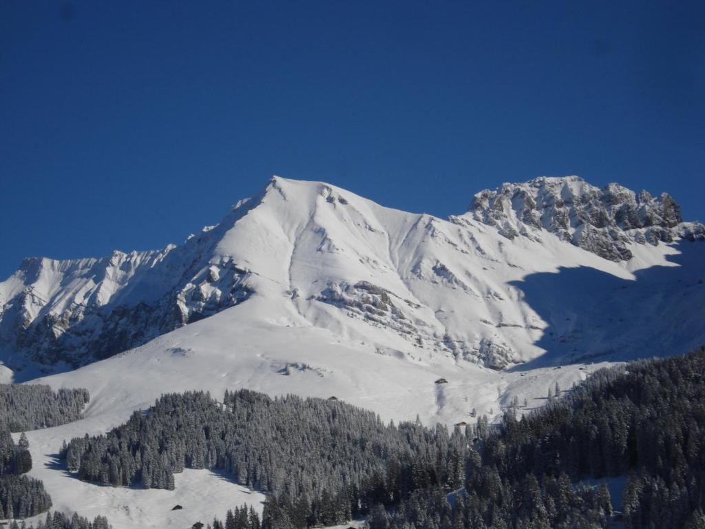 Chalet Allmegrat Adelboden Exteriér fotografie