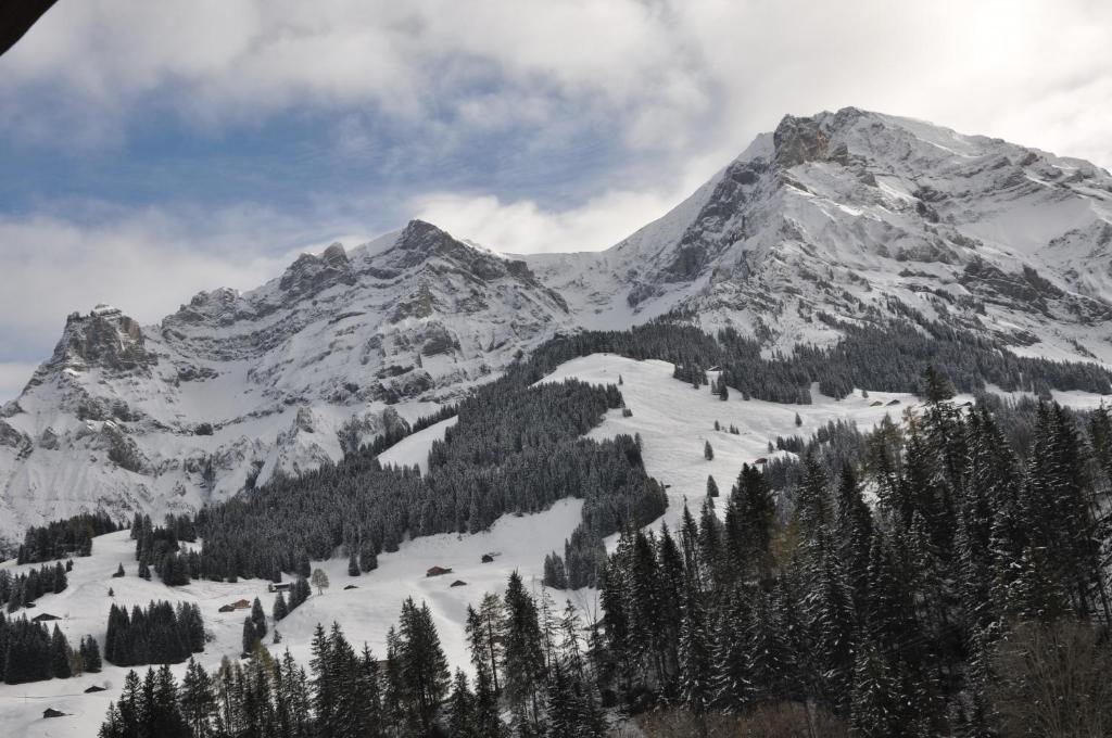Chalet Allmegrat Adelboden Exteriér fotografie