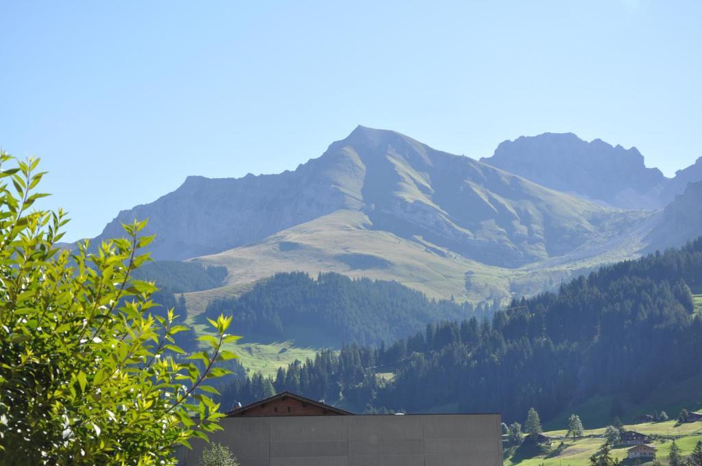 Chalet Allmegrat Adelboden Exteriér fotografie
