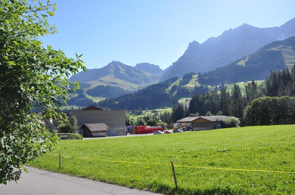 Chalet Allmegrat Adelboden Exteriér fotografie